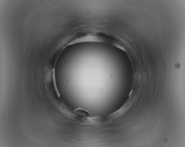 X0000090900188200708201726