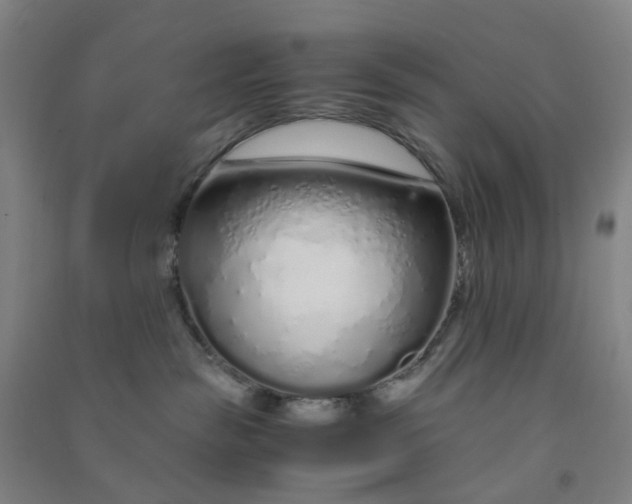 X0000090900189200708201726