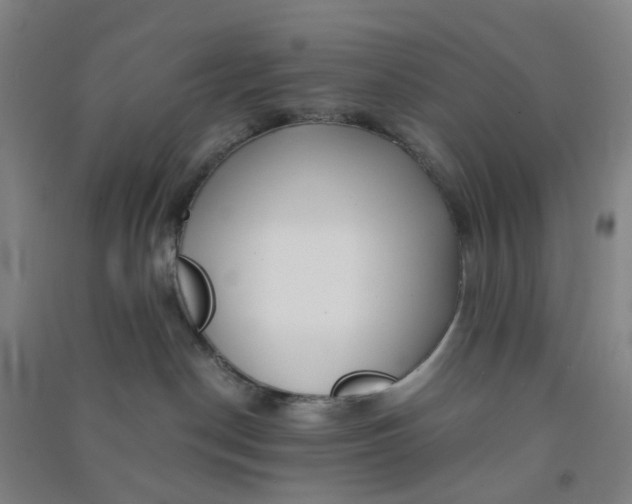 X0000090900190200708201726