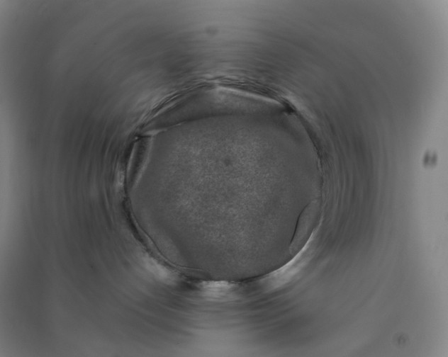 X0000090900192200708201726