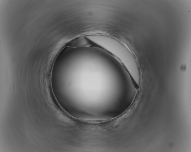 X0000090900193200708201726