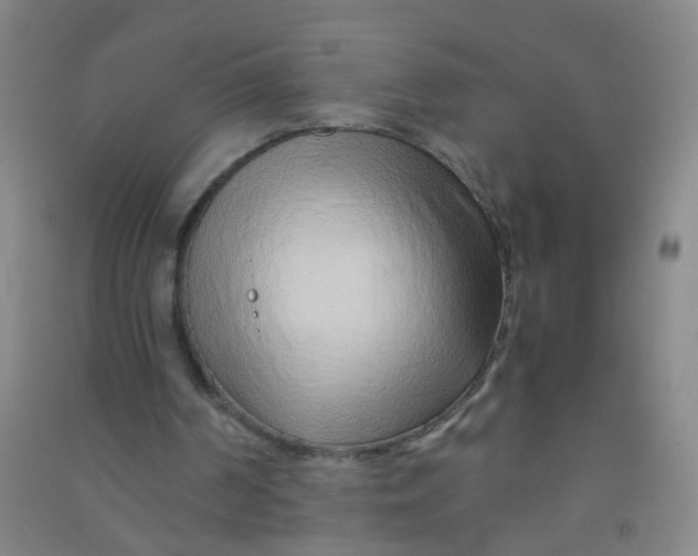 X0000090900194200708201726