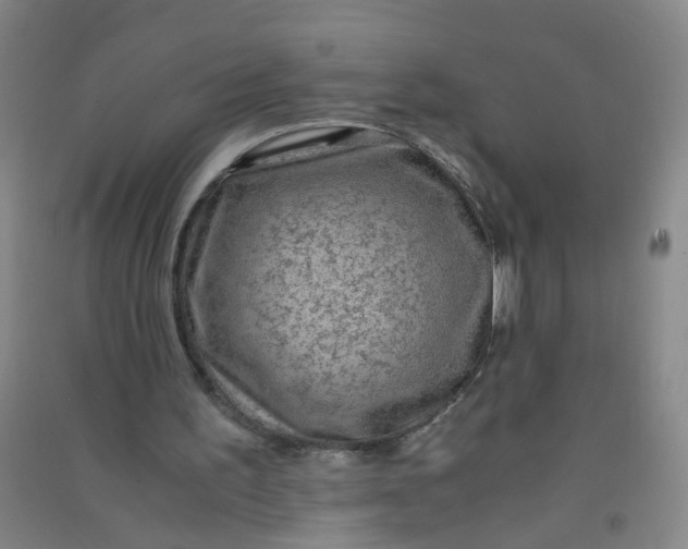 X0000090900195200708201726