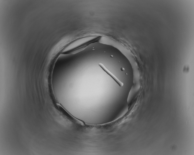 X0000090900197200708201726