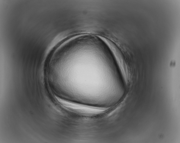 X0000090900198200708201726