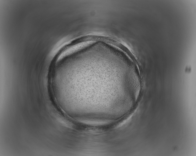 X0000090900199200708201725