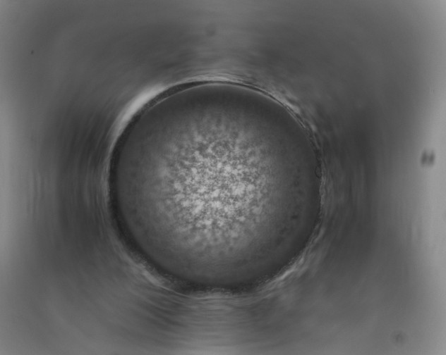 X0000090900200200708201725