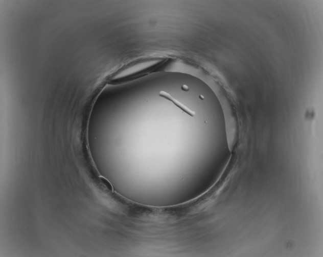 X0000090900201200708201725