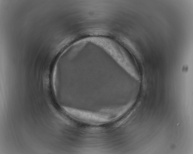 X0000090900202200708201725