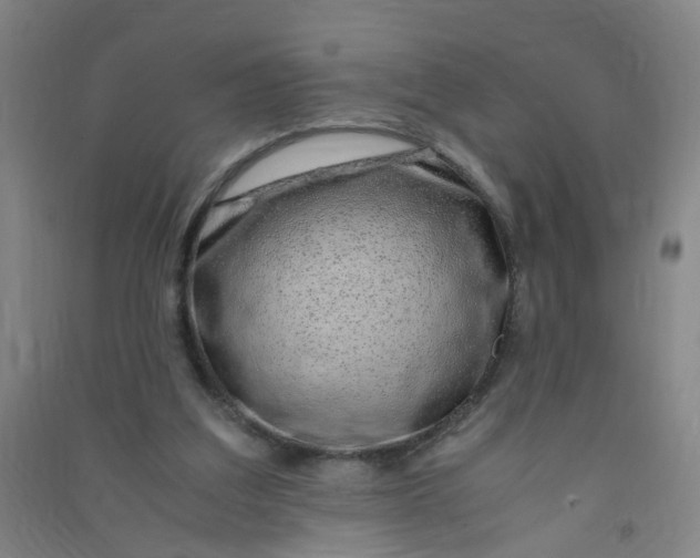 X0000090900203200708201725