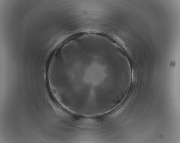 X0000090900205200708201725