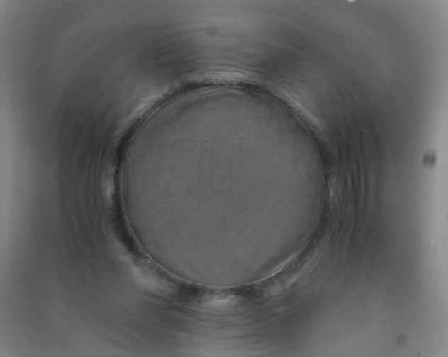 X0000090900206200708201725