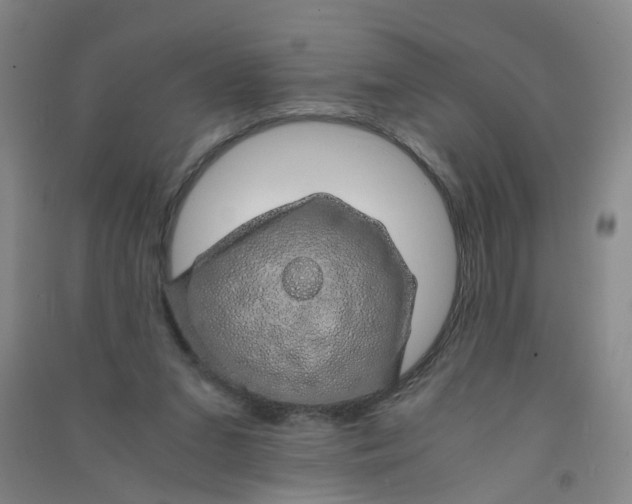 X0000090900207200708201725