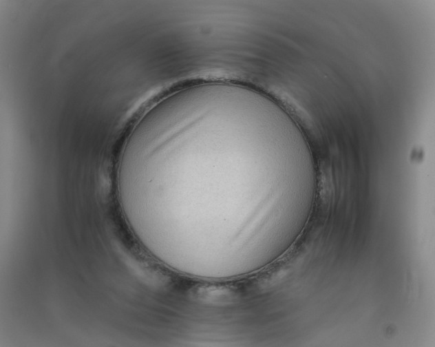 X0000090900208200708201725