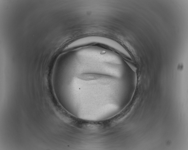 X0000090900209200708201725