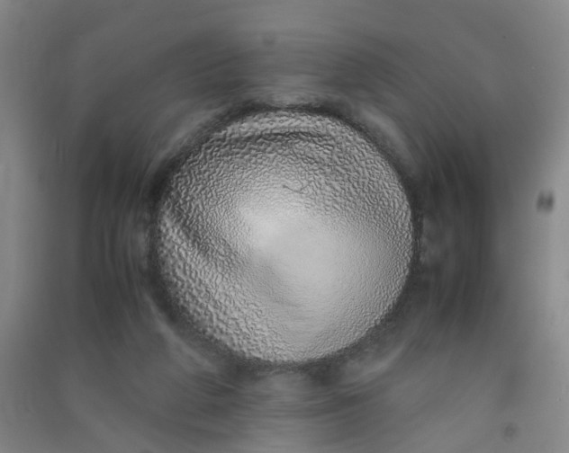 X0000090900210200708201725