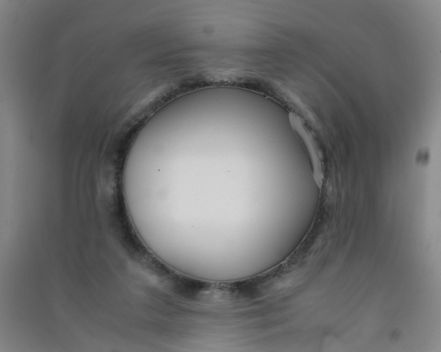 X0000090900211200708201725