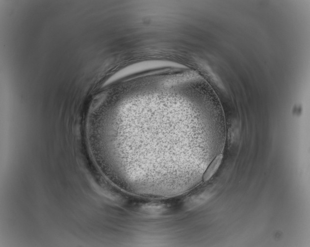 X0000090900213200708201725