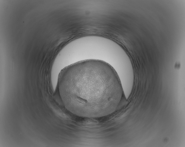 X0000090900215200708201725