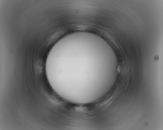 X0000090900216200708201725