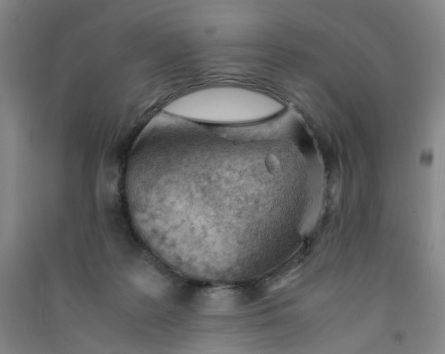 X0000090900219200708201725