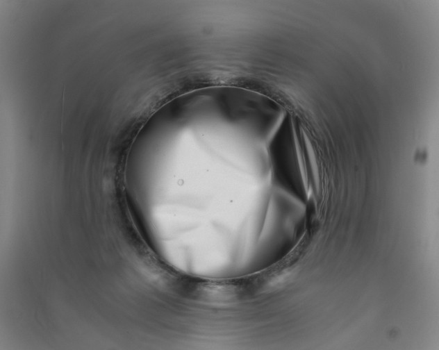 X0000090900221200708201725