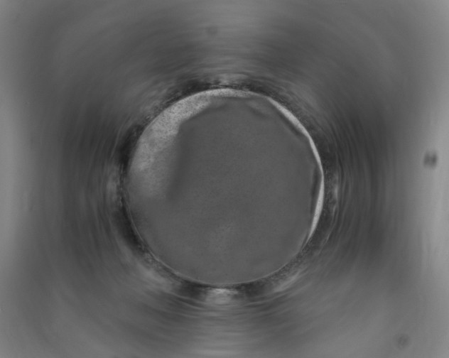 X0000090900222200708201725