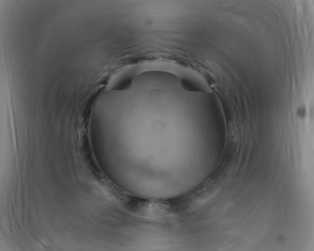 X0000090900223200708201725