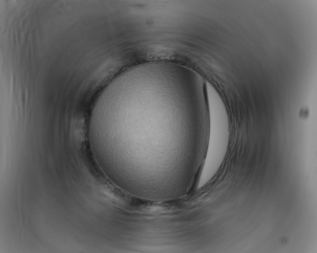 X0000090900224200708201725