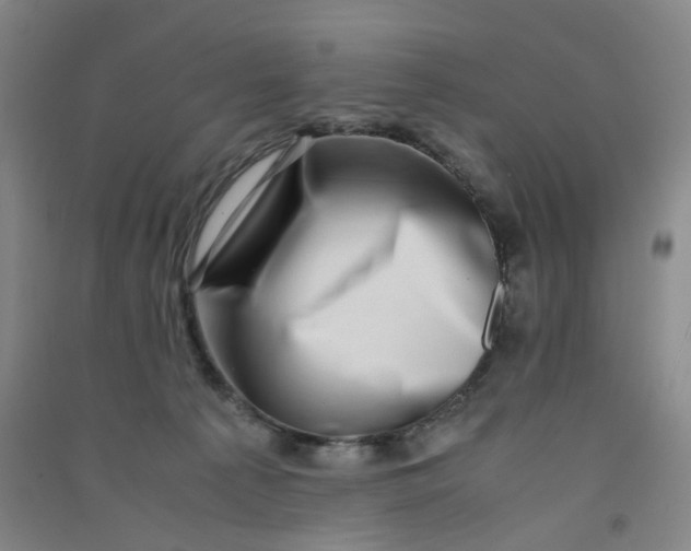 X0000090900225200708201725