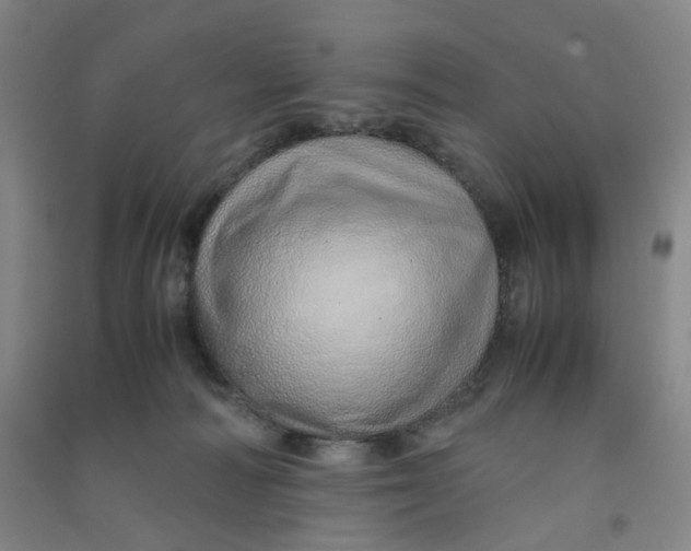 X0000090900226200708201725