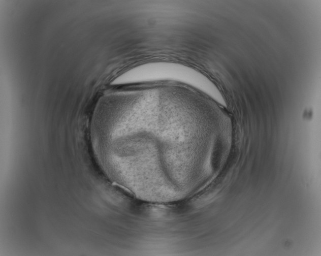 X0000090900229200708201725