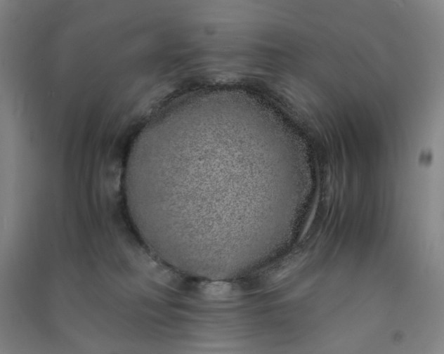 X0000090900230200708201725