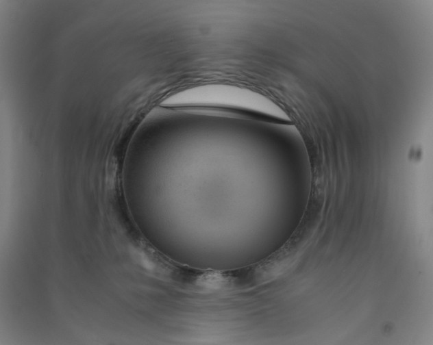 X0000090900231200708201725