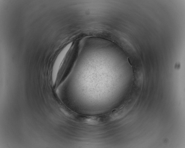 X0000090900232200708201725