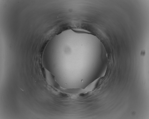 X0000090900233200708201725