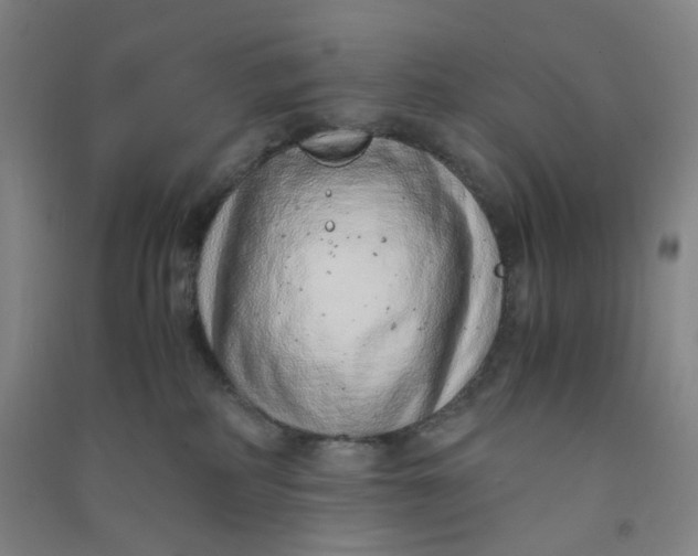 X0000090900234200708201725