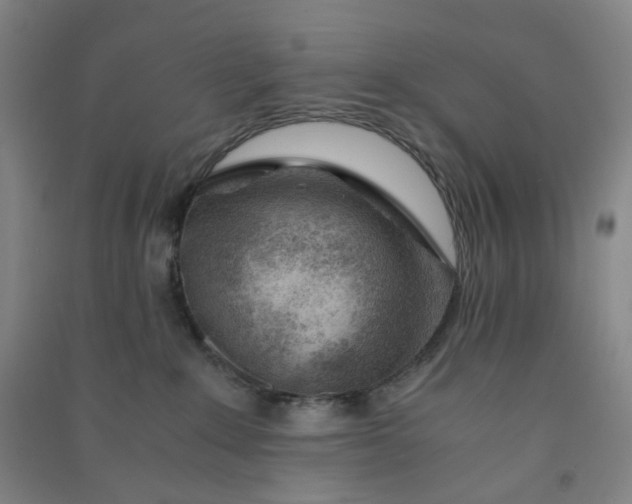 X0000090900235200708201725