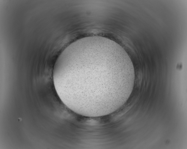 X0000090900236200708201725