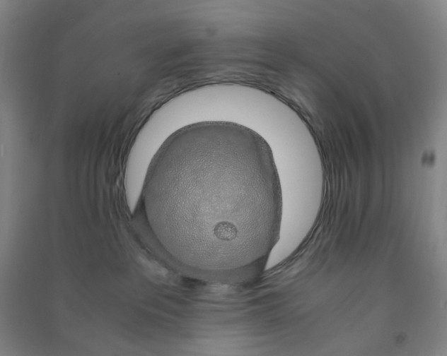 X0000090900237200708201725