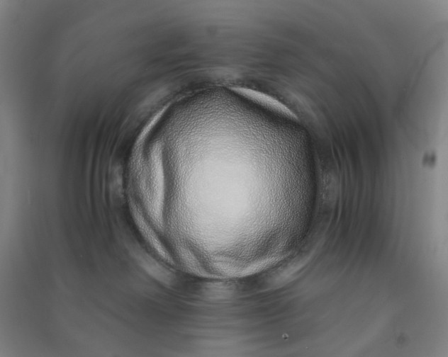 X0000090900238200708201725