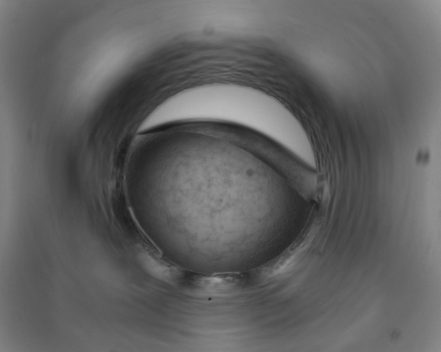 X0000090900239200708201725