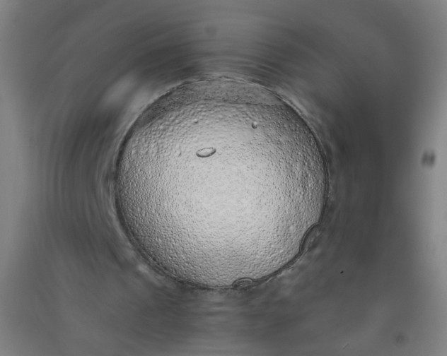 X0000090900241200708201724