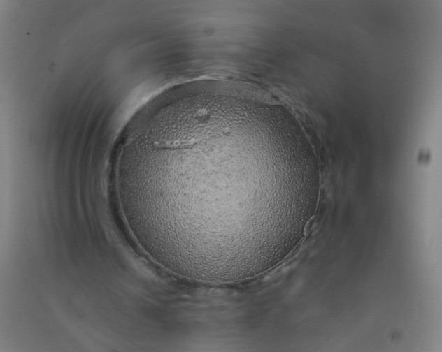 X0000090900242200708201724