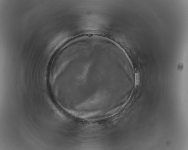 X0000090900243200708201724