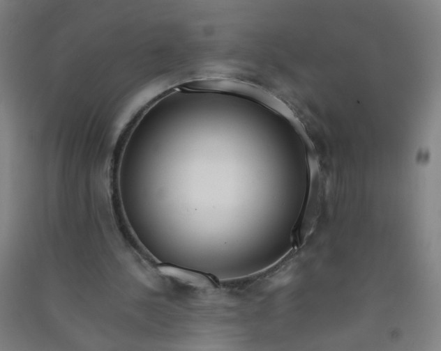 X0000090900244200708201724