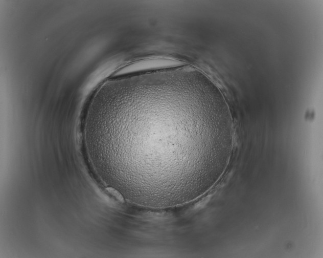 X0000090900245200708201724