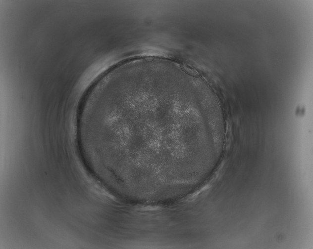 X0000090900247200708201724