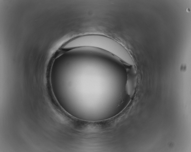 X0000090900248200708201724