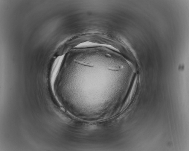 X0000090900249200708201724